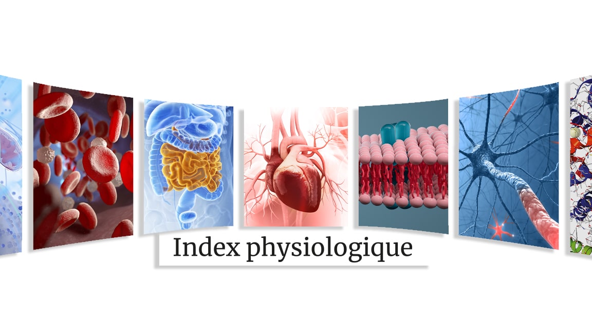 Corps cétoniques caractéristiques et rôle biologique Nutrixeal Info