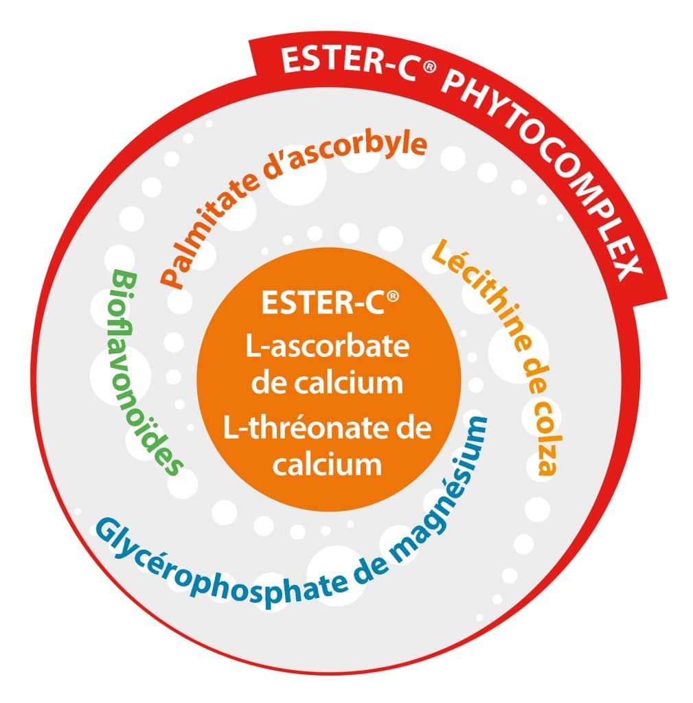 Composition Ester C Phytocomplex Dossier Vitamine C Nutrixeal Info
