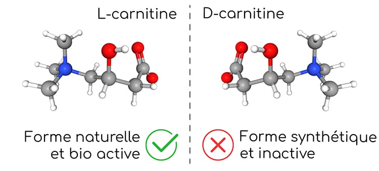 La L-carnitine est la forme naturelle.