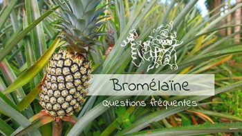 Bromélaïnes : questions fréquentes. Nutrixeal Répond.
