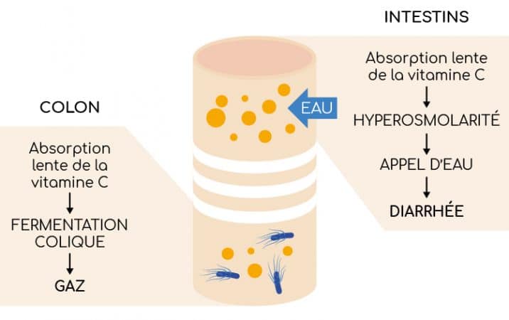 Vitamine C : Des Contre-indications Ou Effets Indésirables ...