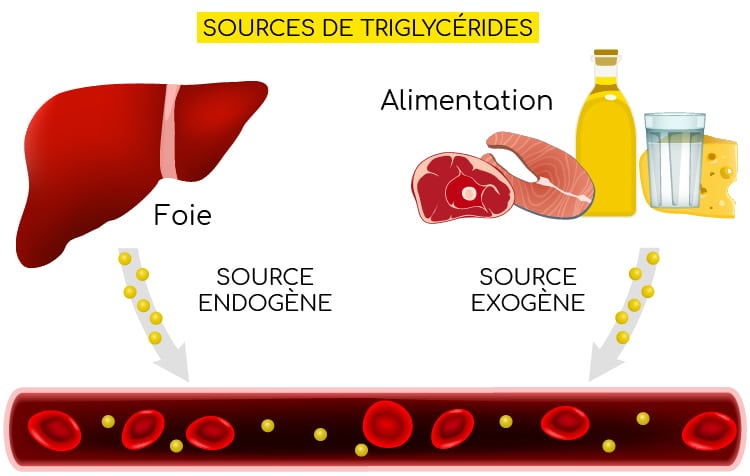 sources de triglycérides nutrixeal info