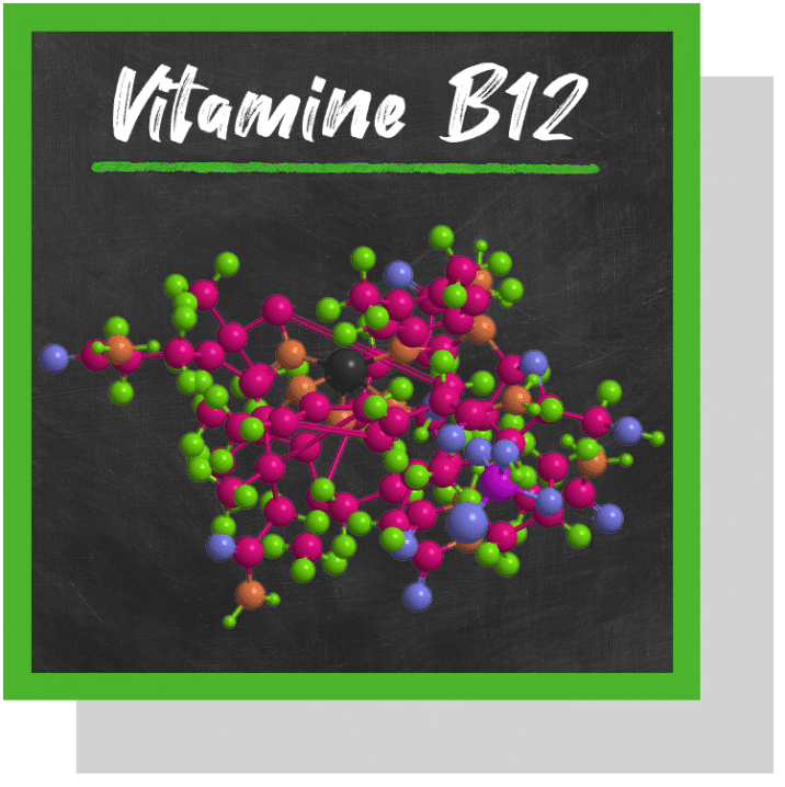 Vitamine B12 différentes formes et assimilation Nutrixeal Info